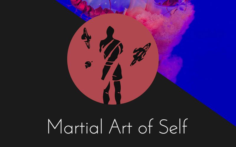 Fun in Martial Arts. Martial Art of Self Martial Arts Podcast Episode 7