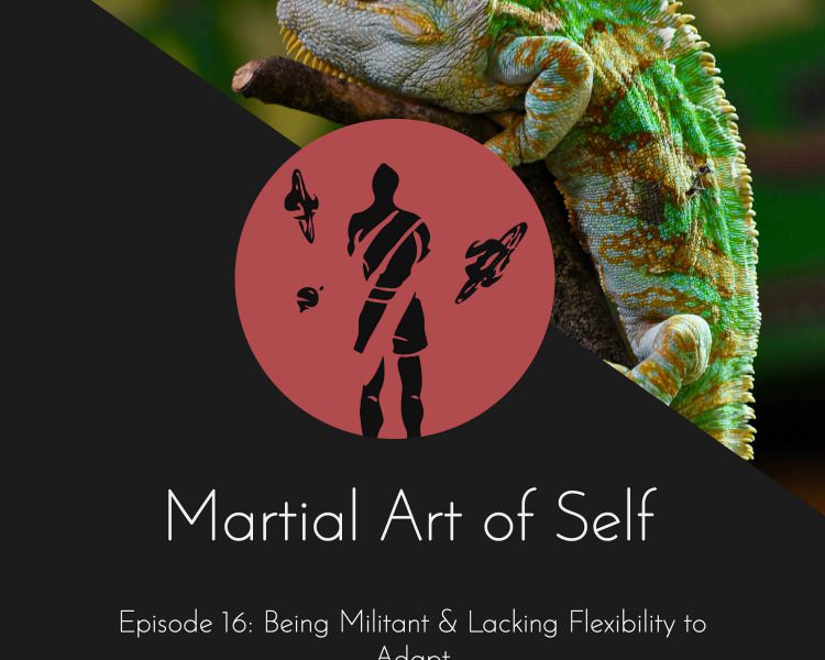 Being militant and lacking flexibility to adapt. Martial Art of Self Martial Arts Podcast Episode 16